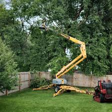 Lawn Drainage Solutions in Grand Bay, AL